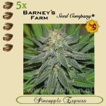 (Auto) Pineapple Express 5x