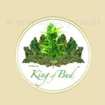 Blikje Rond King of Bud 8cm