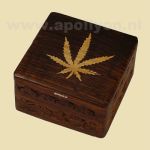 Box Hout met Wietblad
