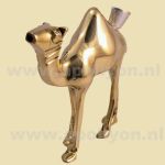 Brass Pijp Dromedaris