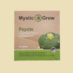 Cactus Zaden Peyote