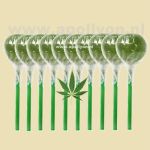 Cannabis Wiet Lolly 10x