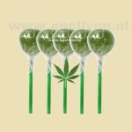Cannabis Wiet Lolly 5x
