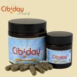 CBD Capsules Pure Poeder