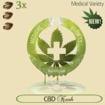 CBD Kush 5x