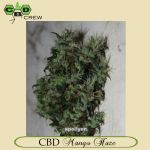 CBD Mango Haze