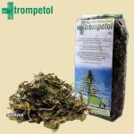 CBD-rijke Eenhuizige Hennep