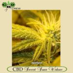 CBD Sweet & Sour Widow