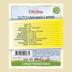 Dutch Amnesia Lemon