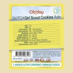 Dutch Girl Scout Cookies Auto