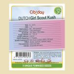 Dutch Girl scout Kush