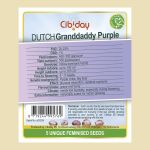 Dutch Granddaddy Purple