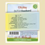 Dutch Headband