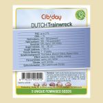 Dutch Trainwreck