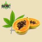 E-Liquid Sweet Mary