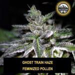 Ghost Train Haze Wietpollen