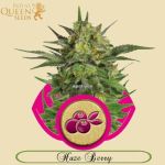 Haze Berry