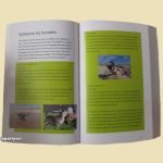 Mediwietolie Boek Helende Hennep