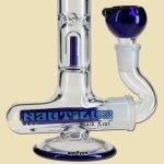 Mini Nautilus Icebong