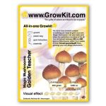 Paddo Kweekset Golden Teacher, All In One