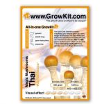 Paddo Kweekset Thai, All in one Growkit