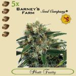 Phatt Fruity 5x