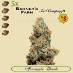 Pineapple Chunk 5x