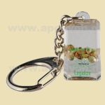 Sleutelhanger Acryl Wietzaadjes