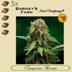 Tangerine Dream 5x