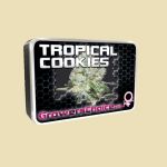 Tropical Cookies