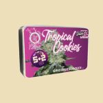 Growers Choise - Tropical Cookies (Autoflower)