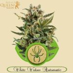 White Widow Automatic