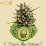 Amnesia Haze Automatic