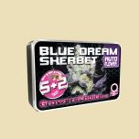 Blue Dream Sherbet (Autoflower)
