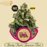 Candy Kush Express Fast Version