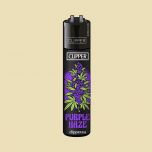 Clipper Strain Purple Haze