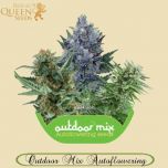 Outdoor Mix Autoflowering