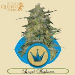 Royal Highness RQS