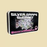 Silver Grape Sherbert