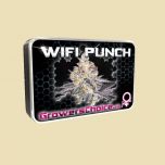 Wifi Punch