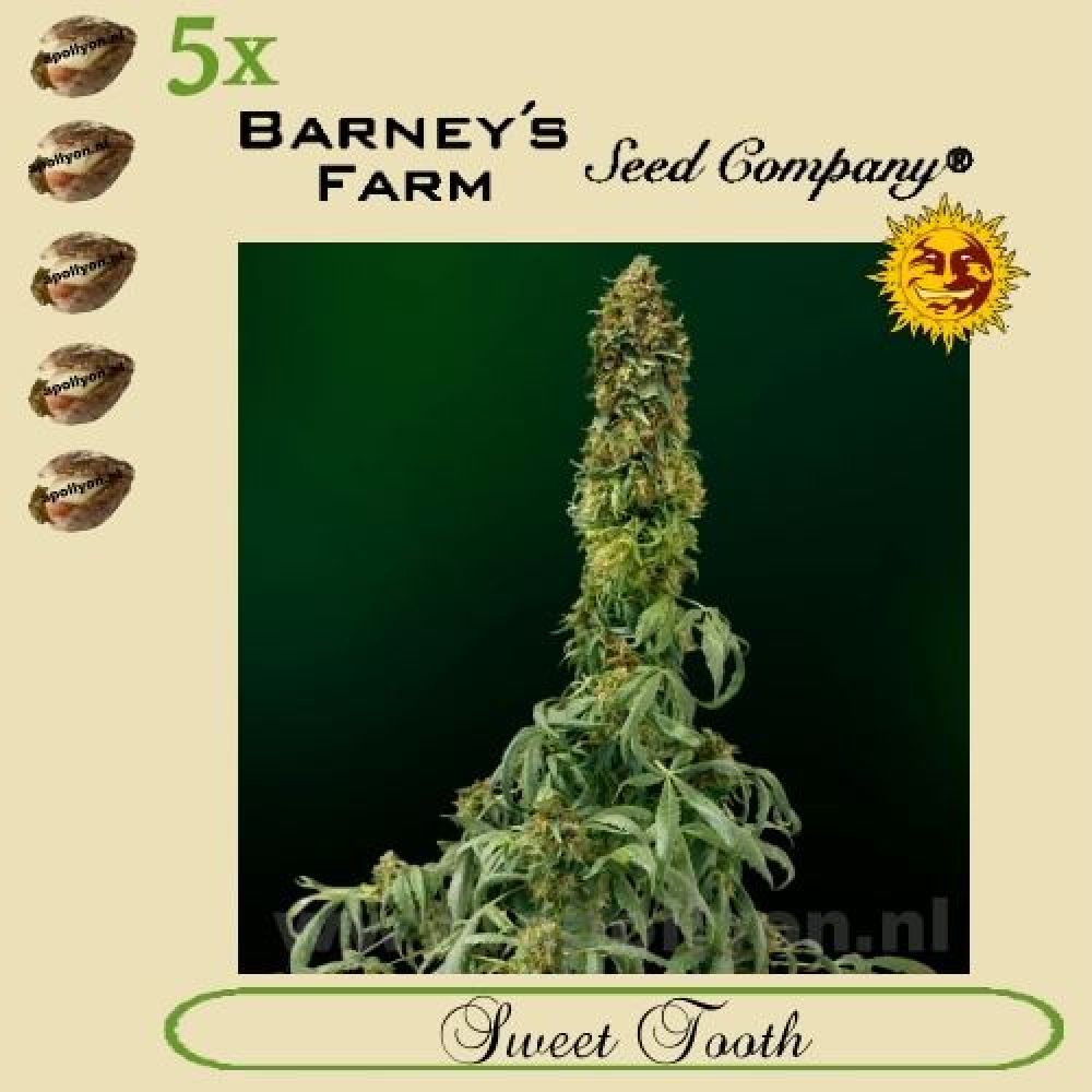 (Auto) Sweet Tooth 5x