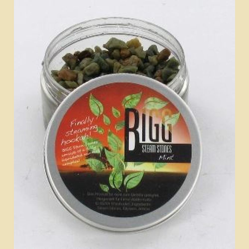 Bigg Steam Stones Mint