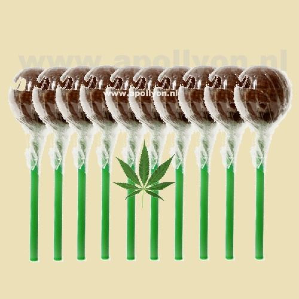 Cannabis Hash Lolly 10x