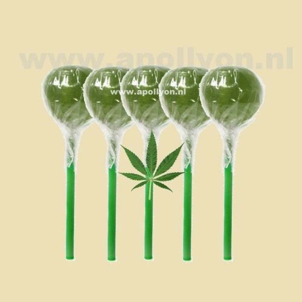 Cannabis Wiet Lolly 5x