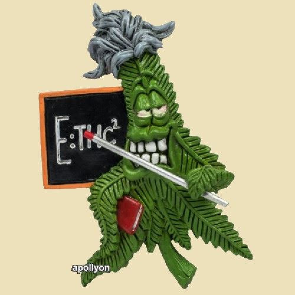 Cannabuds Magneet Teacher