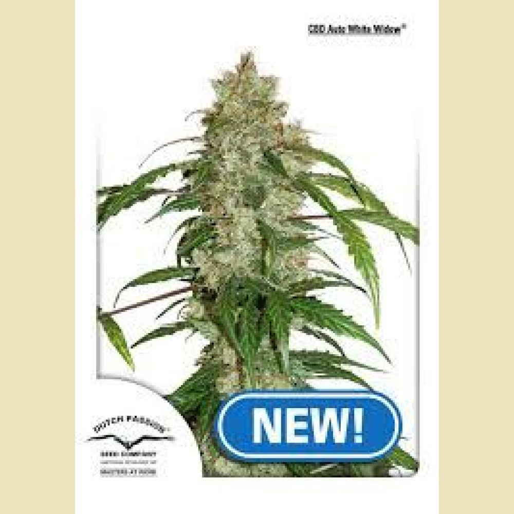 CBD Auto White Widow