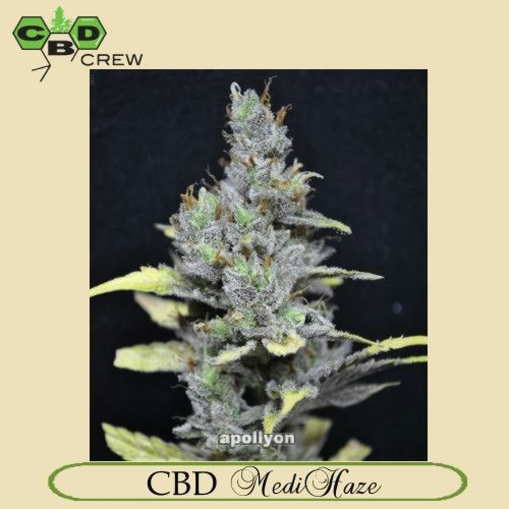 CBD MediHaze