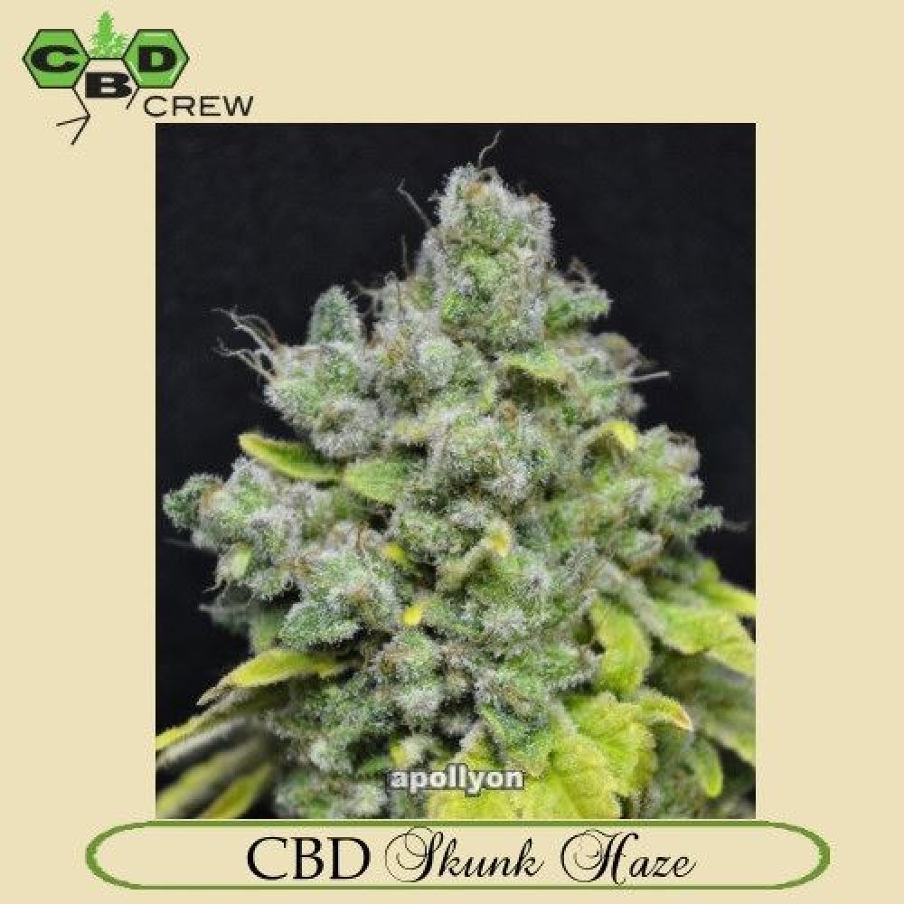 CBD Skunk Haze