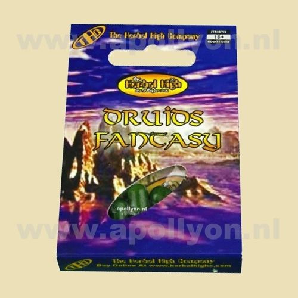 Druids Fantasy