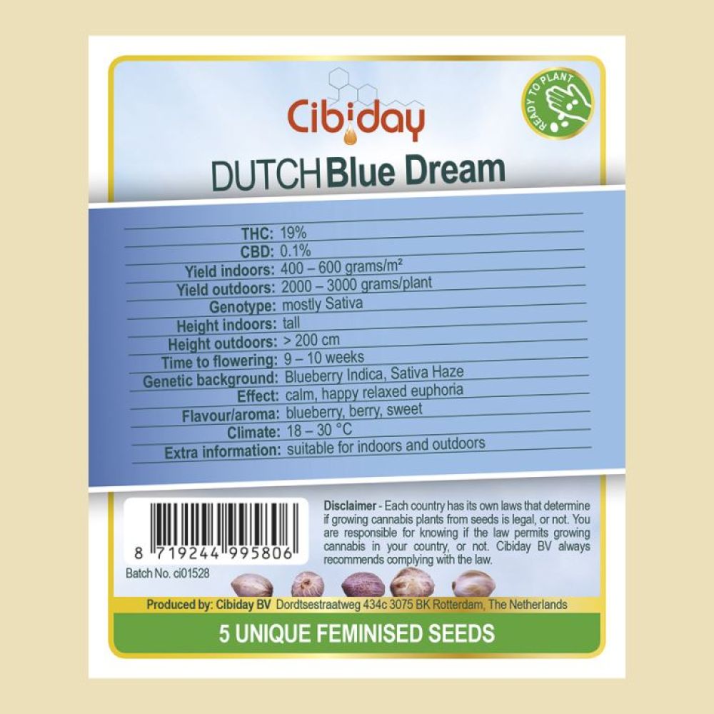 Dutch Blue Dream